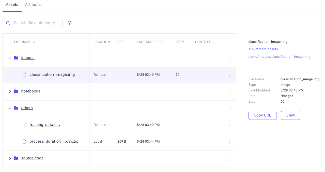 Example Logged Remote Assets
