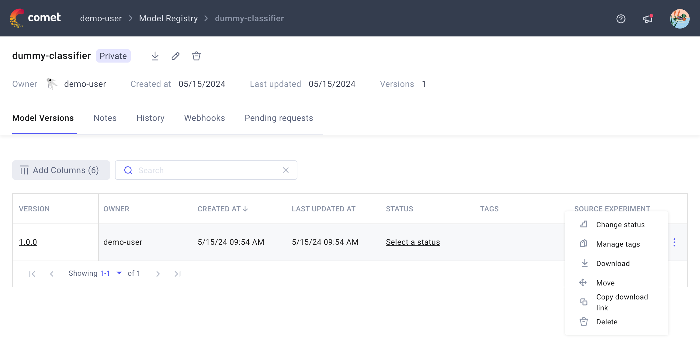 Model Registry page - Download version