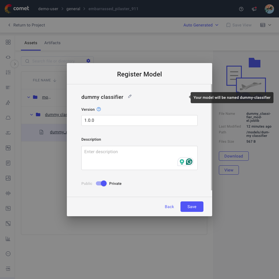 Comet Single Experiment page - Register Model