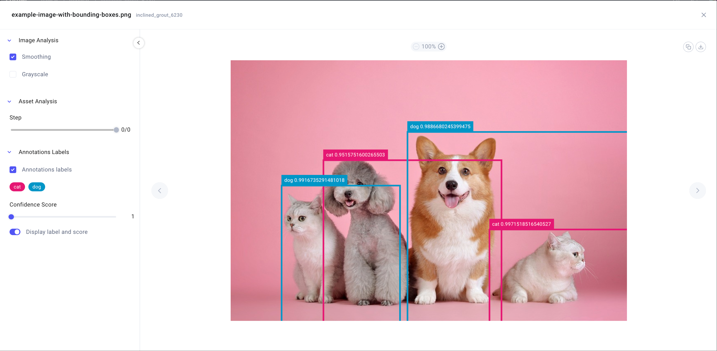 Example Image Panel with boxes