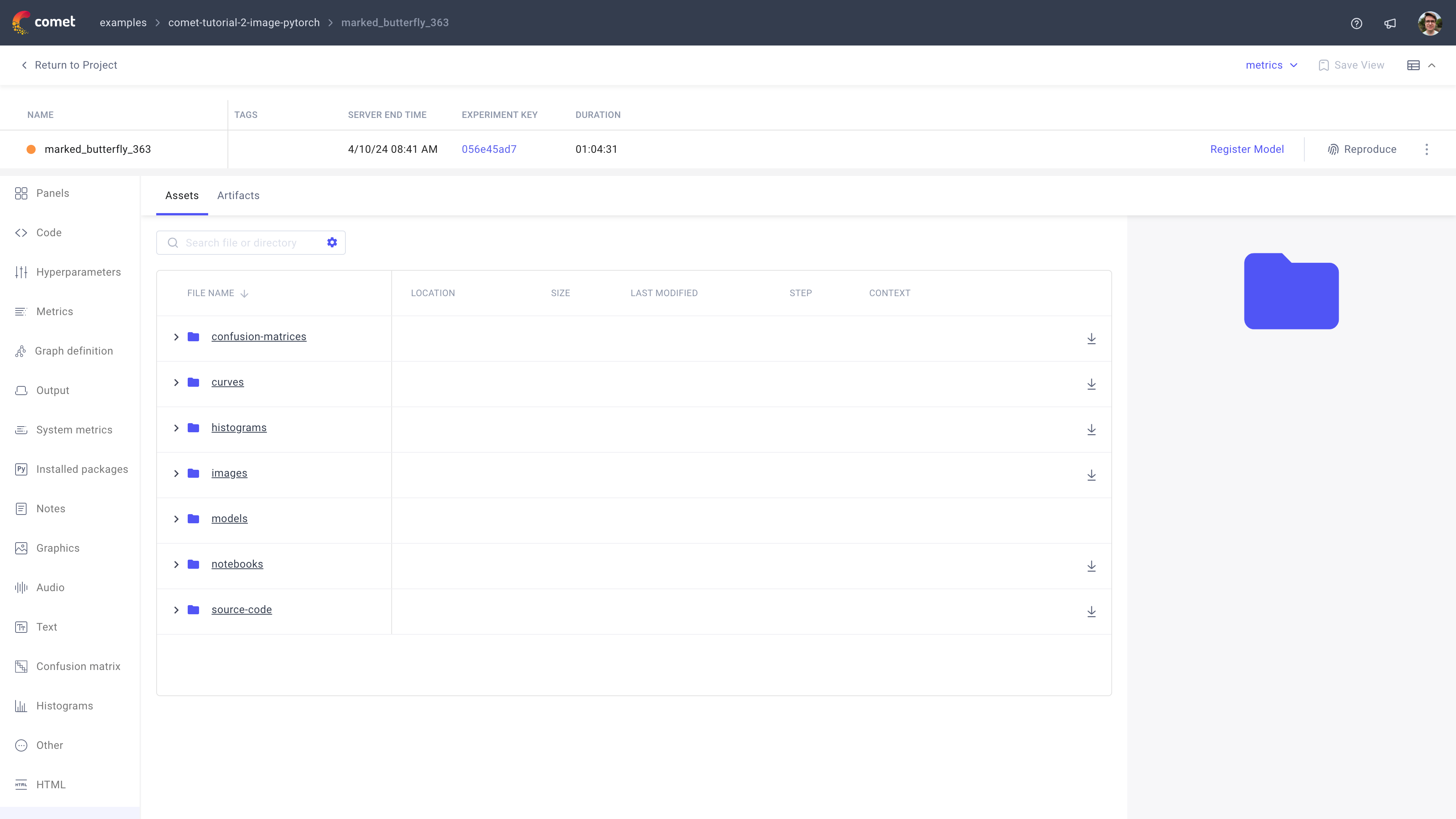 Comet Experiment Management - Single Experiment Page: Asset & Artifacts tab