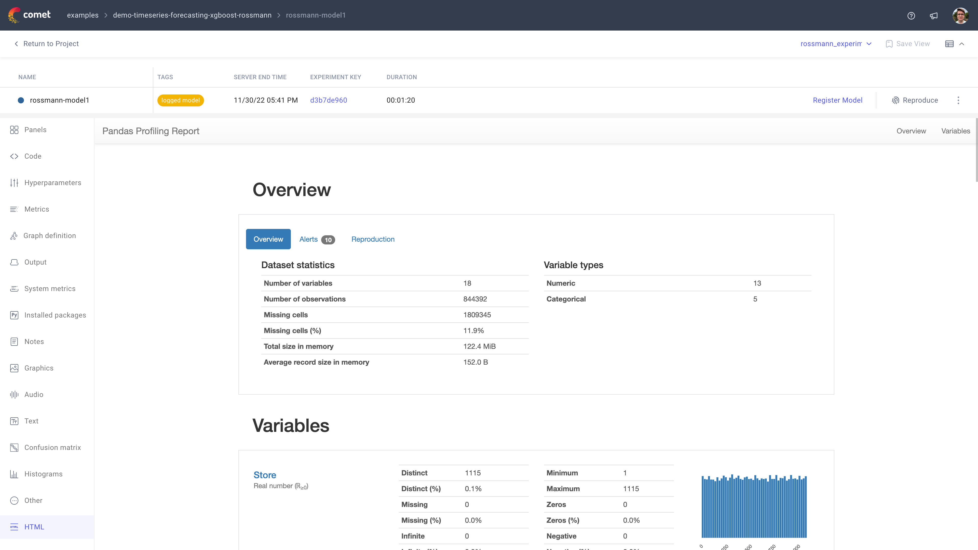Comet Experiment Management - Single Experiment Page: HTML tab