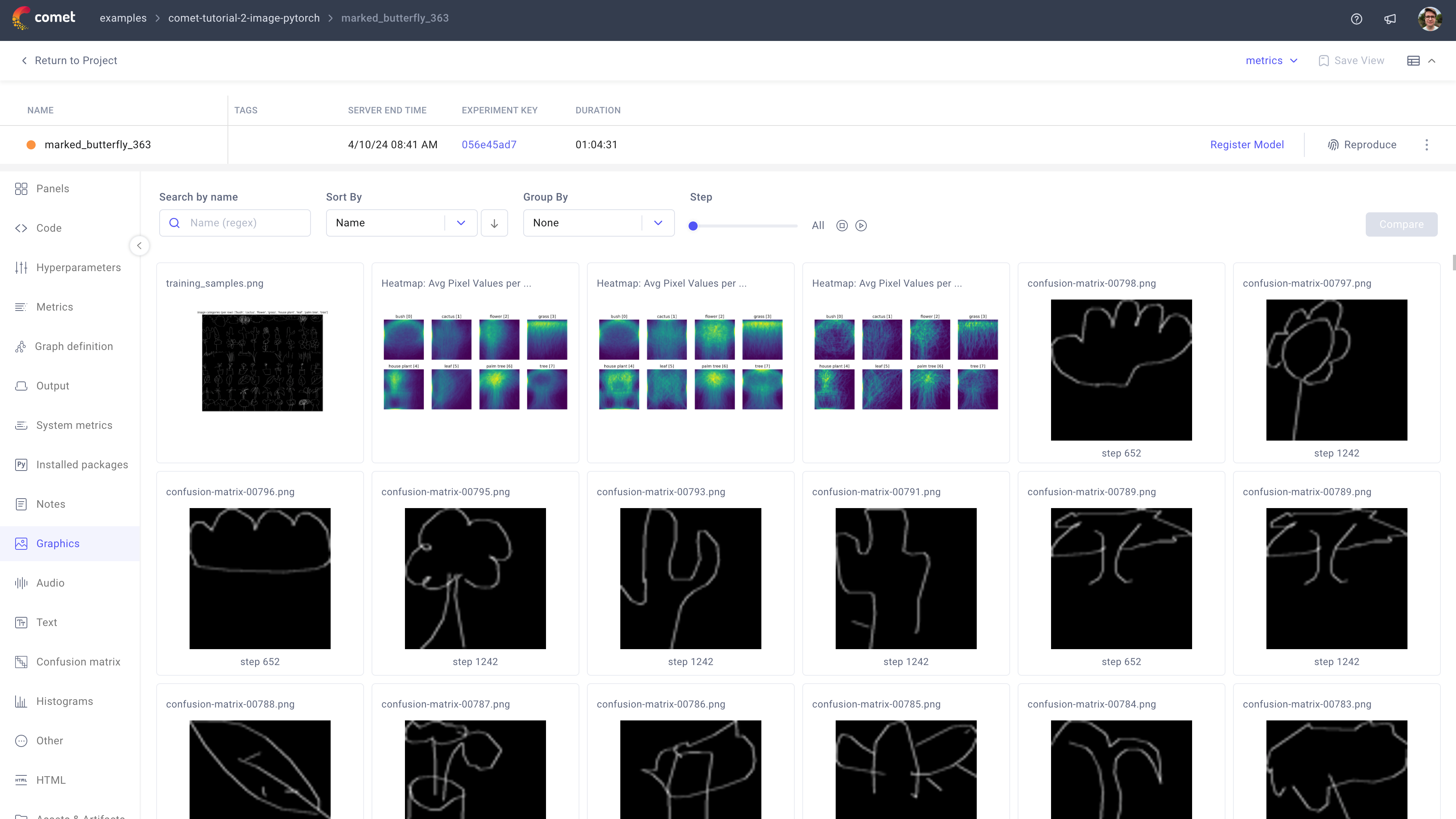 Comet Experiment Management - Single Experiment Page: Graphics tab