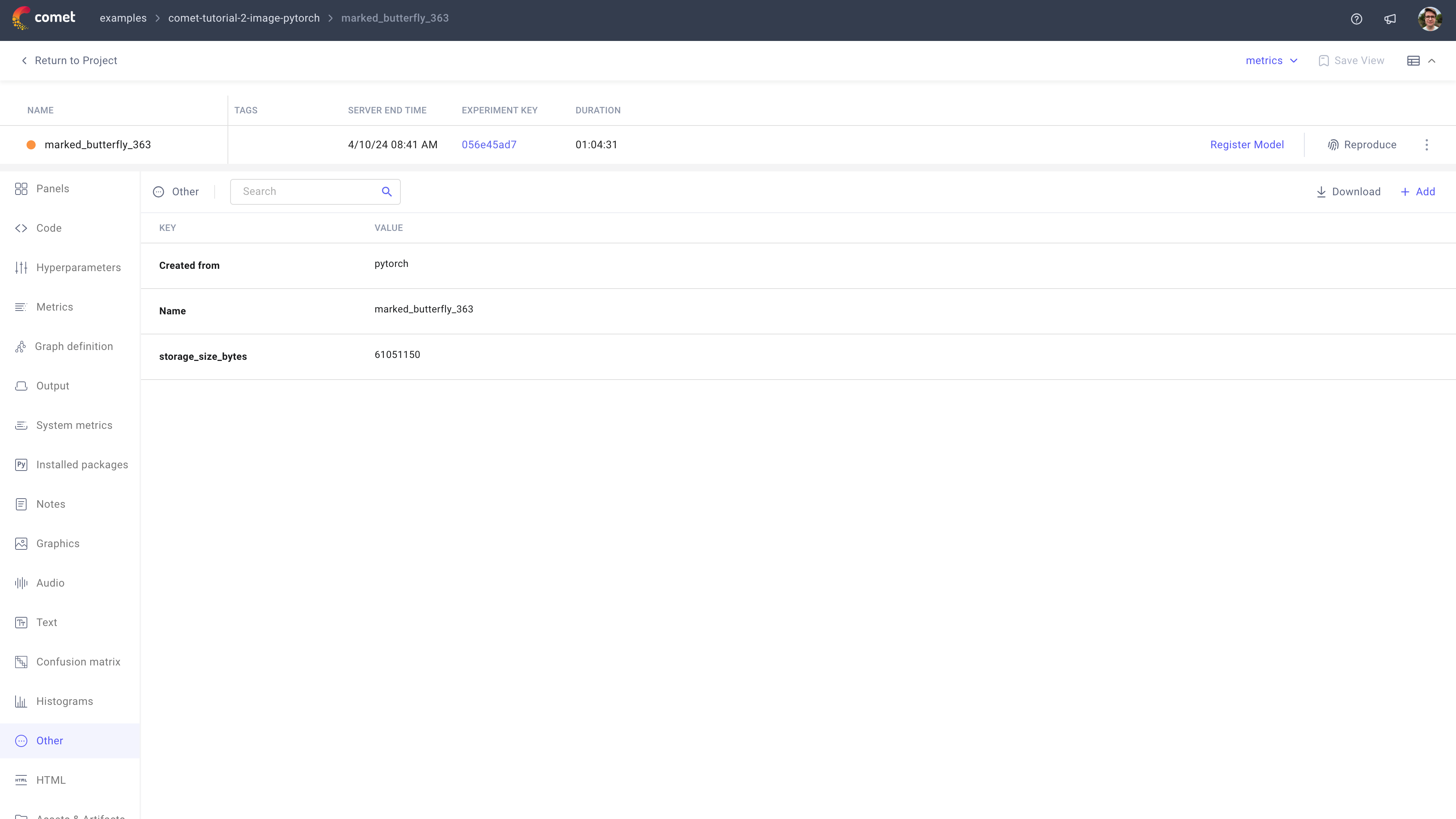 Comet Experiment Management - Single Experiment Page: Other tab