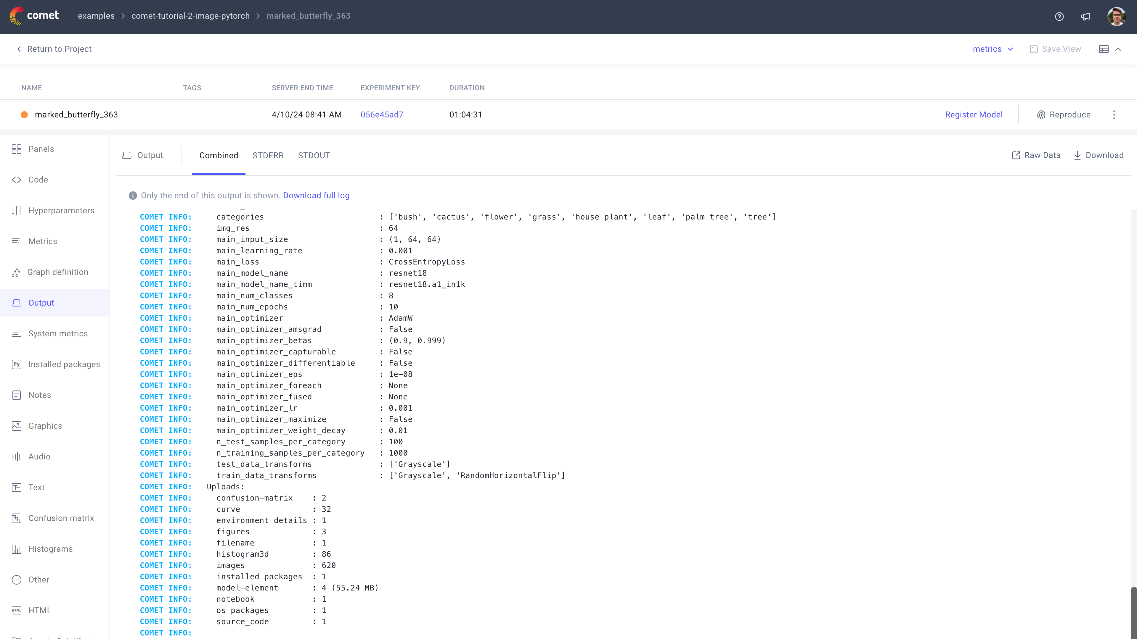 Comet Experiment Management - Single Experiment Page: Metrics tab